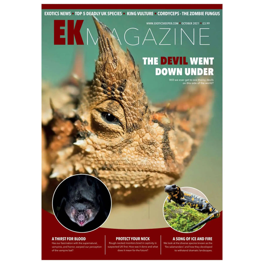 Buy Exotics Keeper Magazine #12 October 2021 (Q-IEK012) Online at £3.99 from Reptile Centre