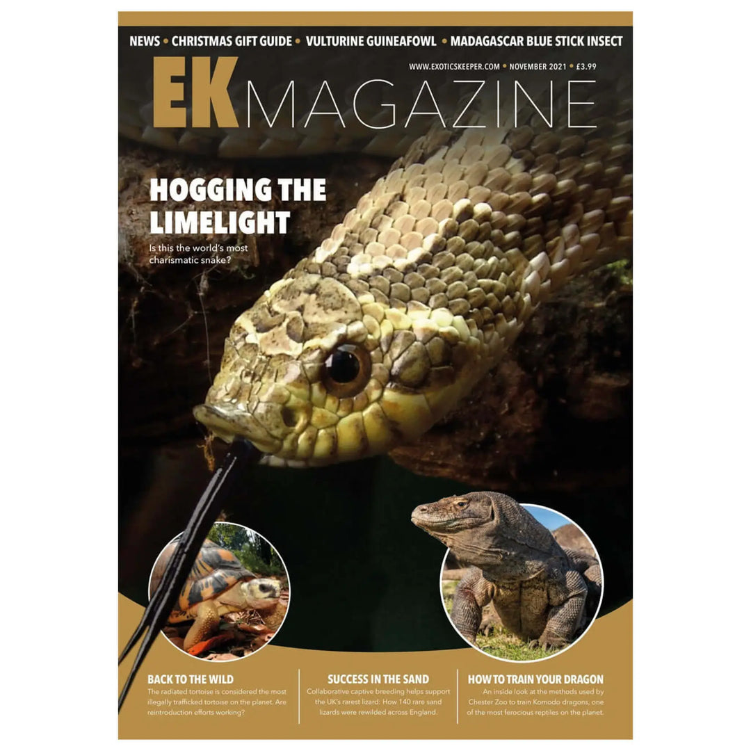 Buy Exotics Keeper Magazine #13 November 2021 (Q-IEK013) Online at £3.99 from Reptile Centre