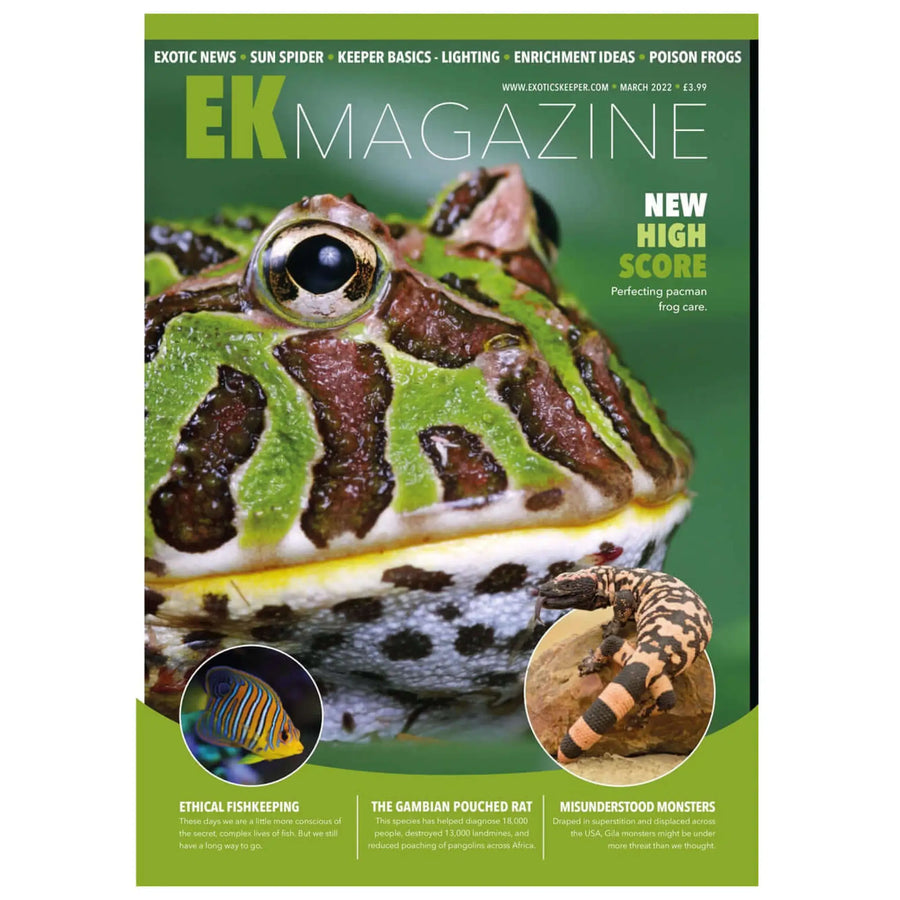 Buy Exotics Keeper Magazine #17 March 2022 (Q-IEK017) Online at £3.99 from Reptile Centre