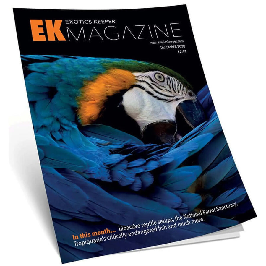 Buy Exotics Keeper Magazine #2 December 2020 (Q-IEK002) Online at £2.99 from Reptile Centre