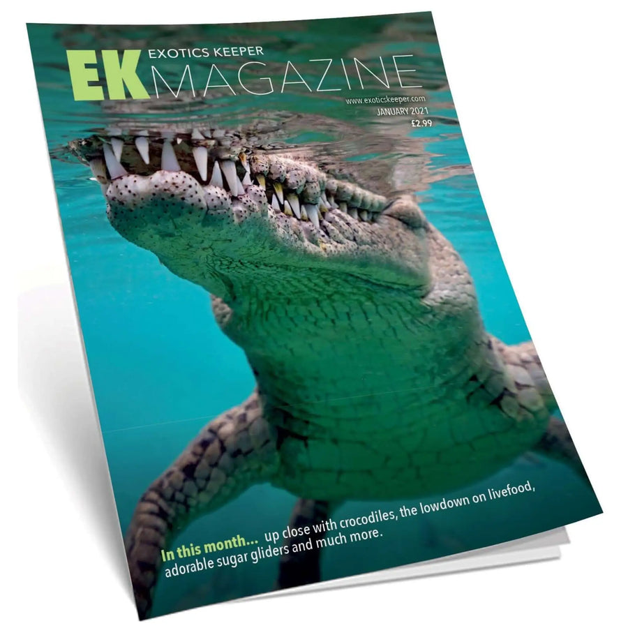 Buy Exotics Keeper Magazine #3 January 2021 (Q-IEK003) Online at £2.99 from Reptile Centre
