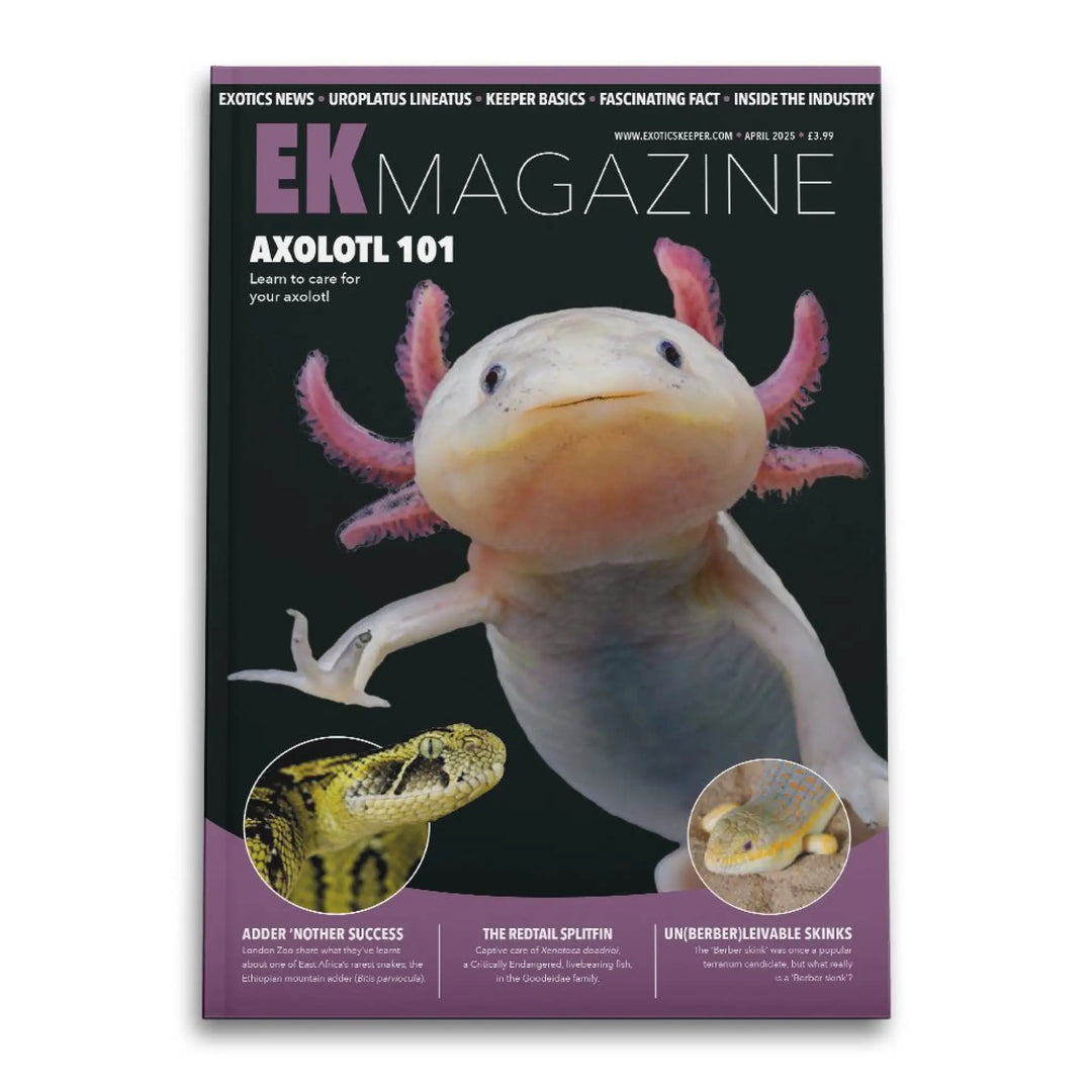 Exotics Keeper Magazine #54 April 2025 Books & Magazines