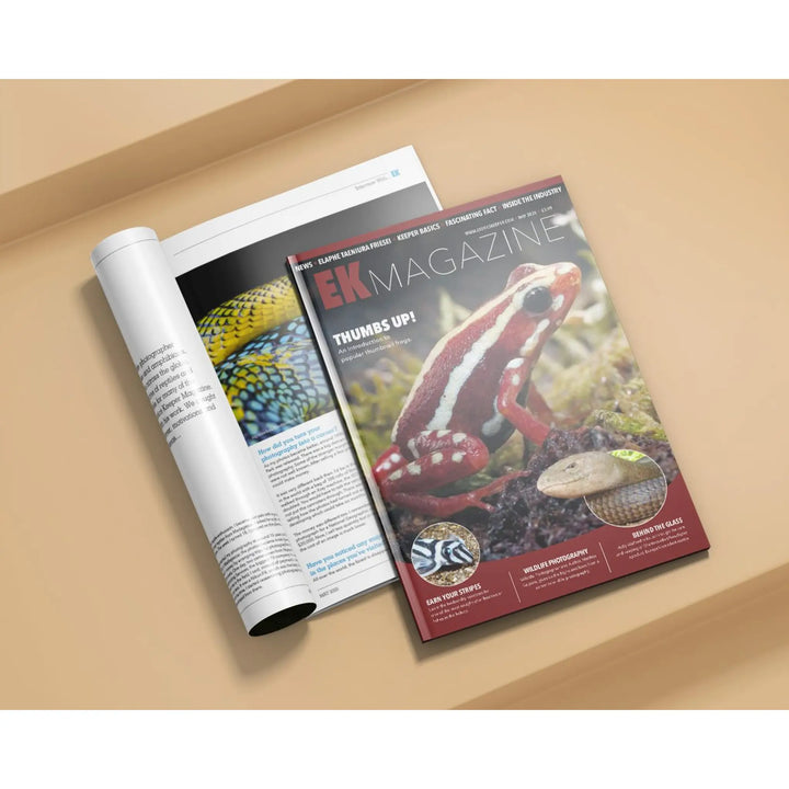 EK Magazine May – 2025 (Issue 55)

