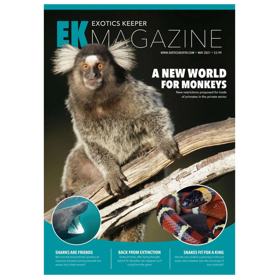 Buy Exotics Keeper Magazine #7 May 2021 (Q-IEK007) Online at £2.99 from Reptile Centre
