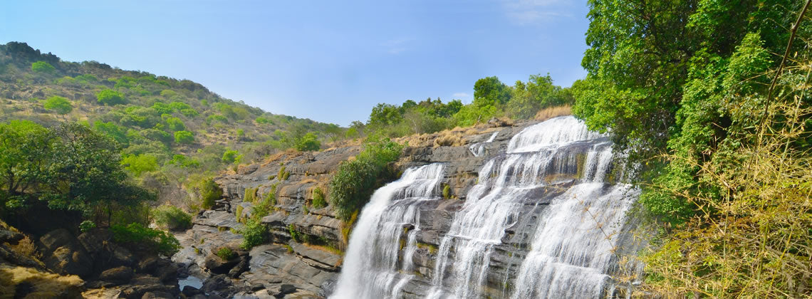 Ball Python Care Guide: Perfect First Snake Choice - Reptile Centre