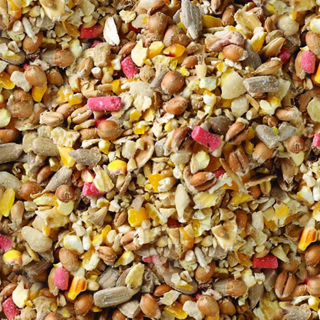 Buy Honeyfield's Wont Grow Wild Bird Food Online at £5.42