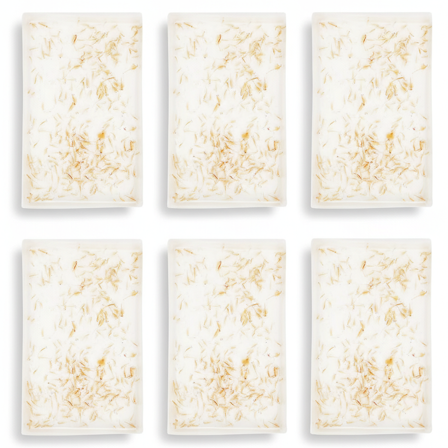 Live Brine Shrimp 100ml - 6 Pack