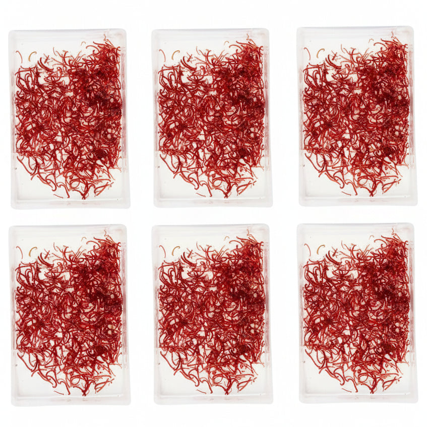 Live Large Bloodworms