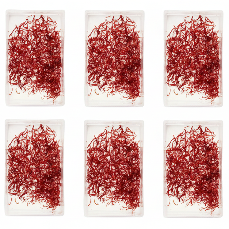 Live Bloodworms Small 100ml - 6 Pack