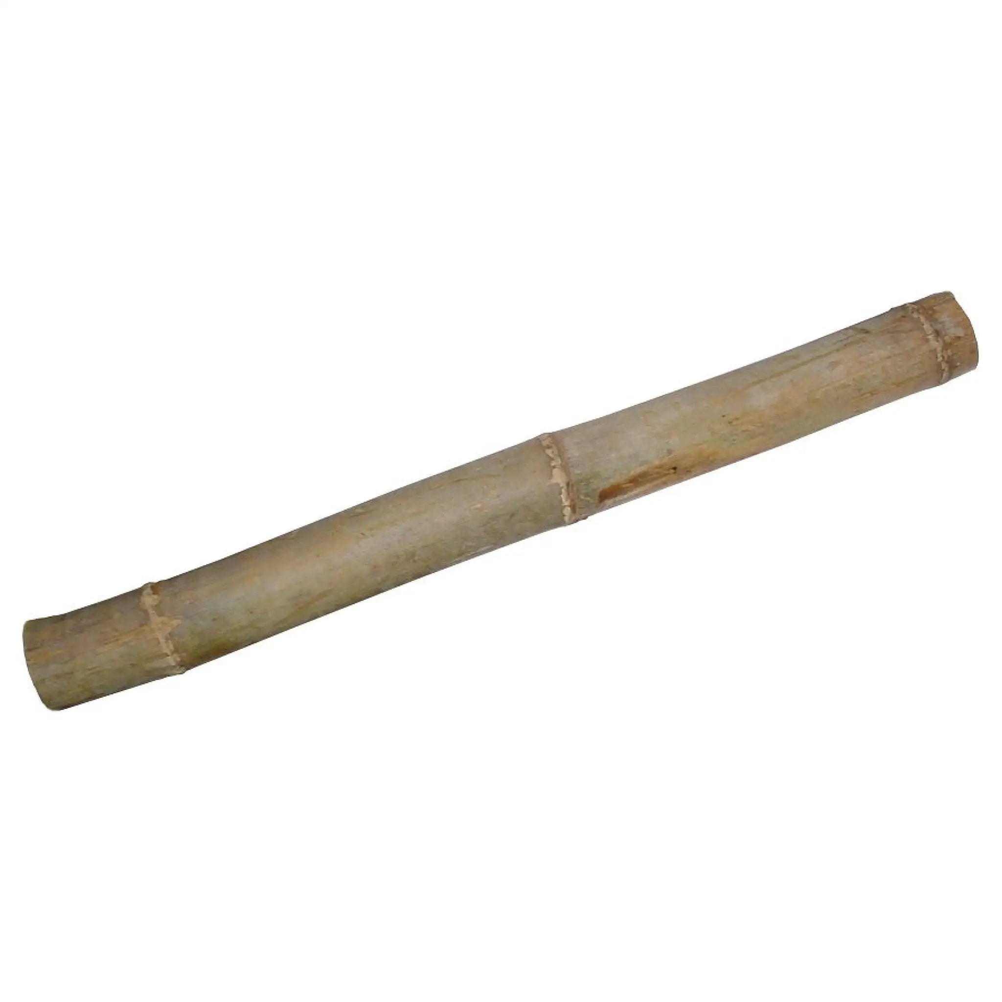 Buy Lucky Reptile Bamboo Stick Online at £9.59