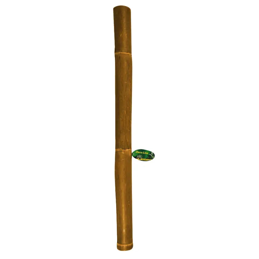 Lucky Reptile Bamboo Stick