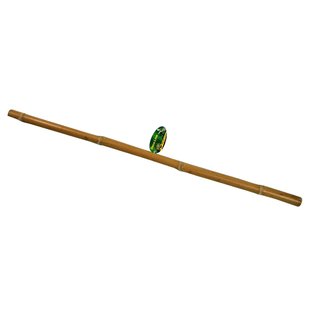 Buy Lucky Reptile Bamboo Stick (DLB010) Online at £10.69 from Reptile Centre