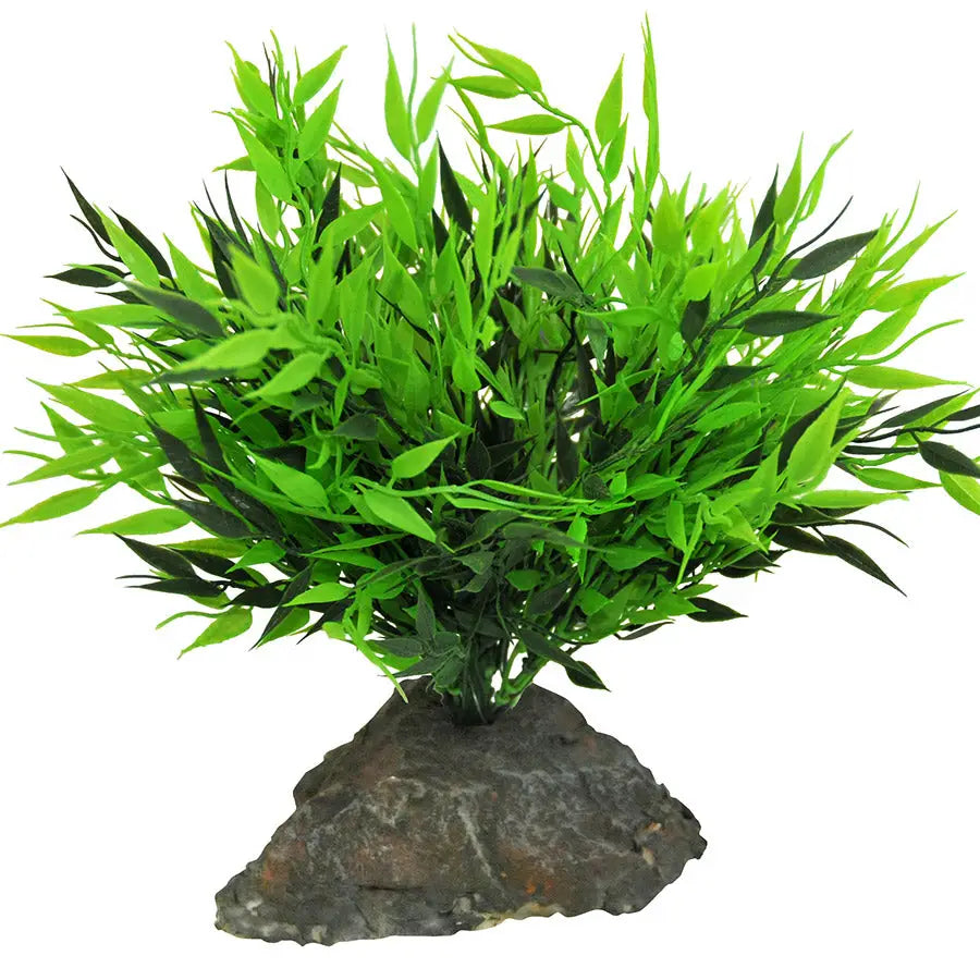 Buy Lucky Reptile Bamboo Tuft online