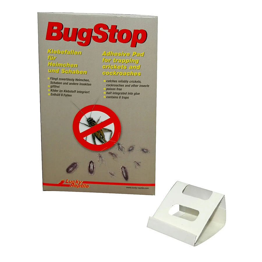 Buy Lucky Reptile BugStop Cricket trap (6-pack) (ELC010) Online at £6.59 from Reptile Centre