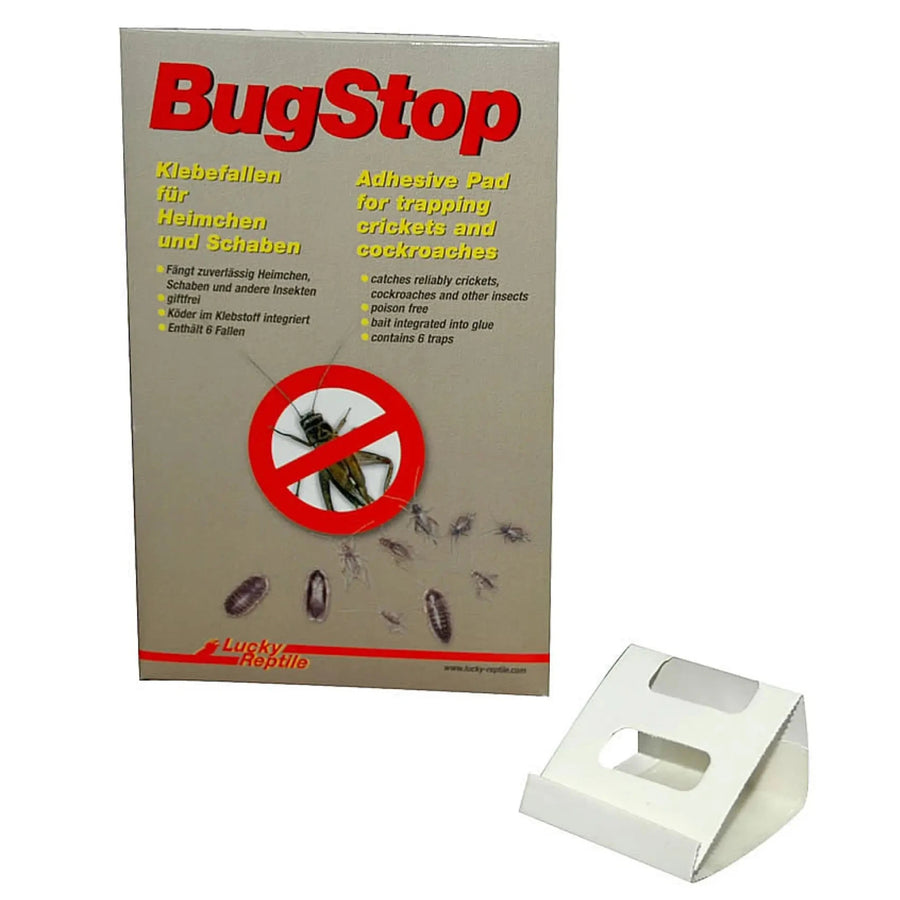 Buy Lucky Reptile BugStop Cricket trap (6-pack) (ELC010) Online at £6.59 from Reptile Centre