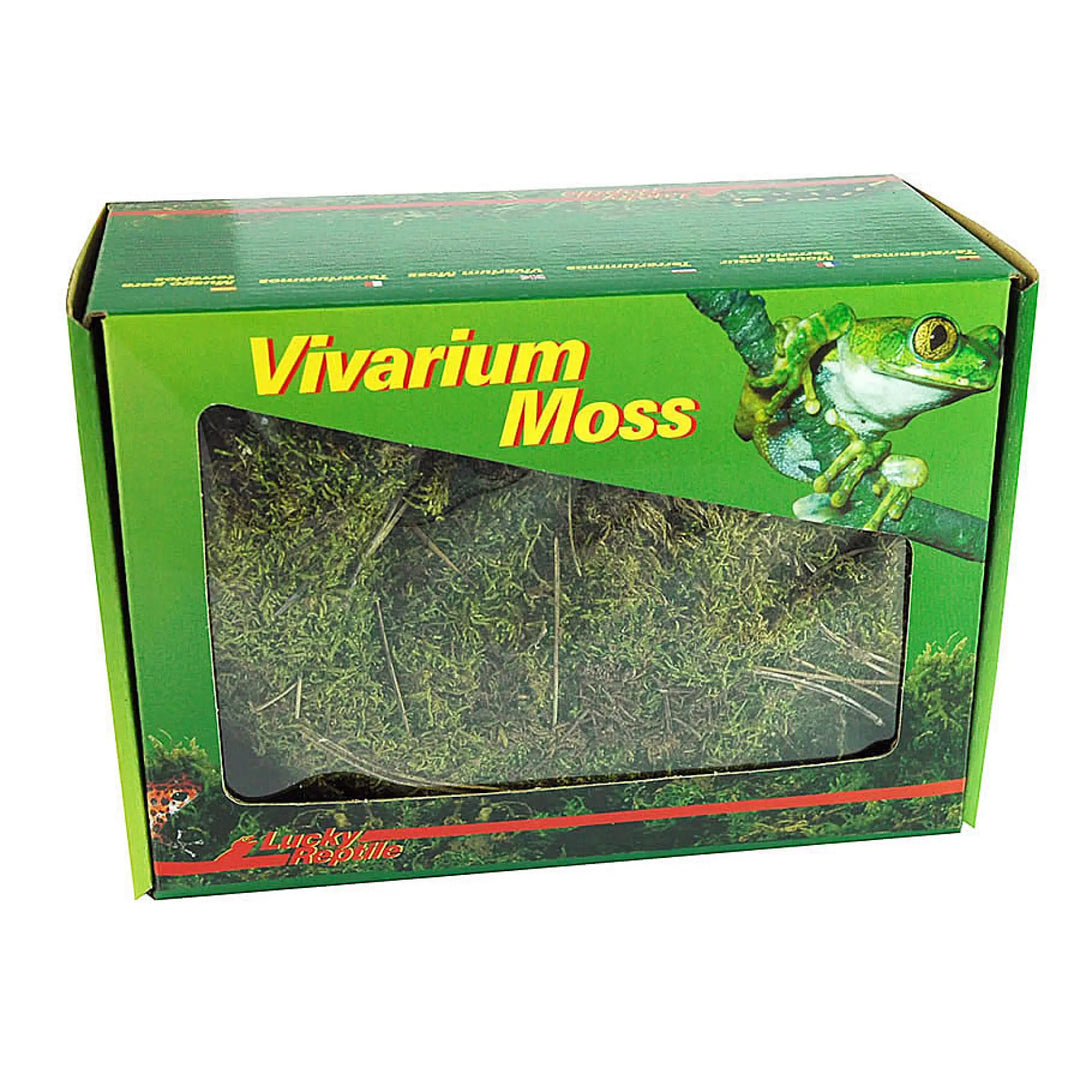 Buy Lucky Reptile Dry Vivarium Moss 150g (SLS010) Online at £10.69 from Reptile Centre