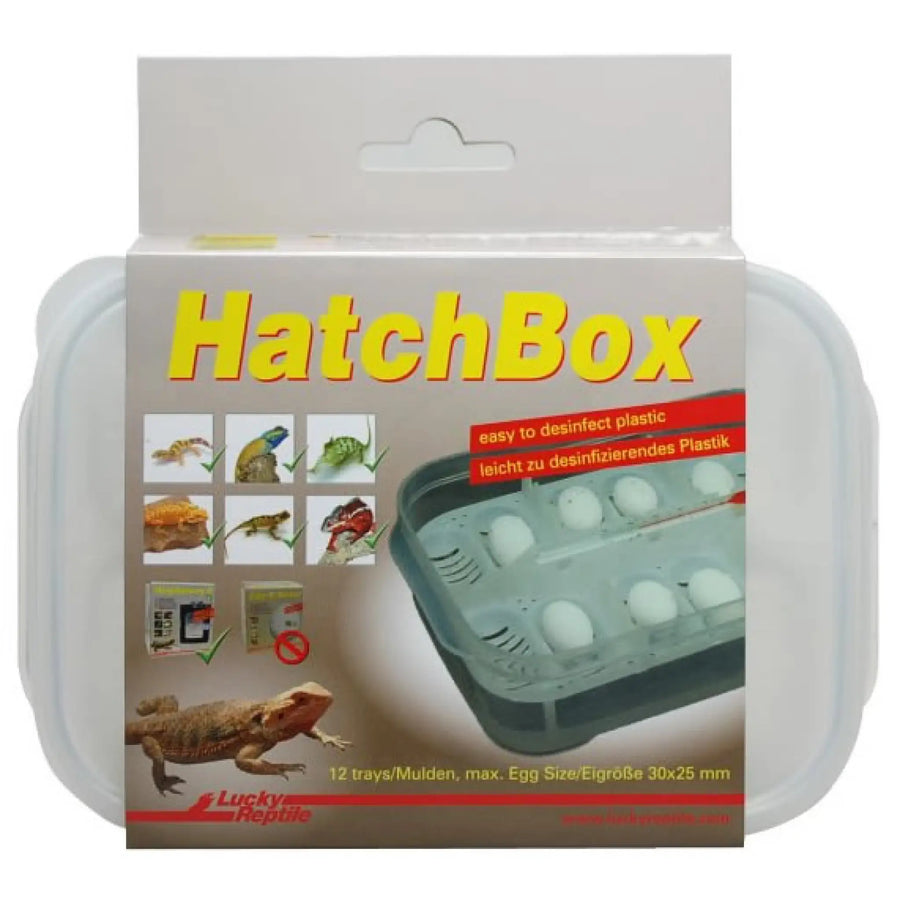 Buy Lucky Reptile HatchBox (CLH600) Online at £7.79 from Reptile Centre