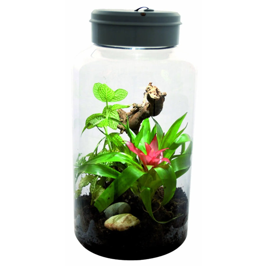 Buy Lucky Reptile Insect- Tarrium 5 Litre (TLP105) Online at £32.79 from Reptile Centre