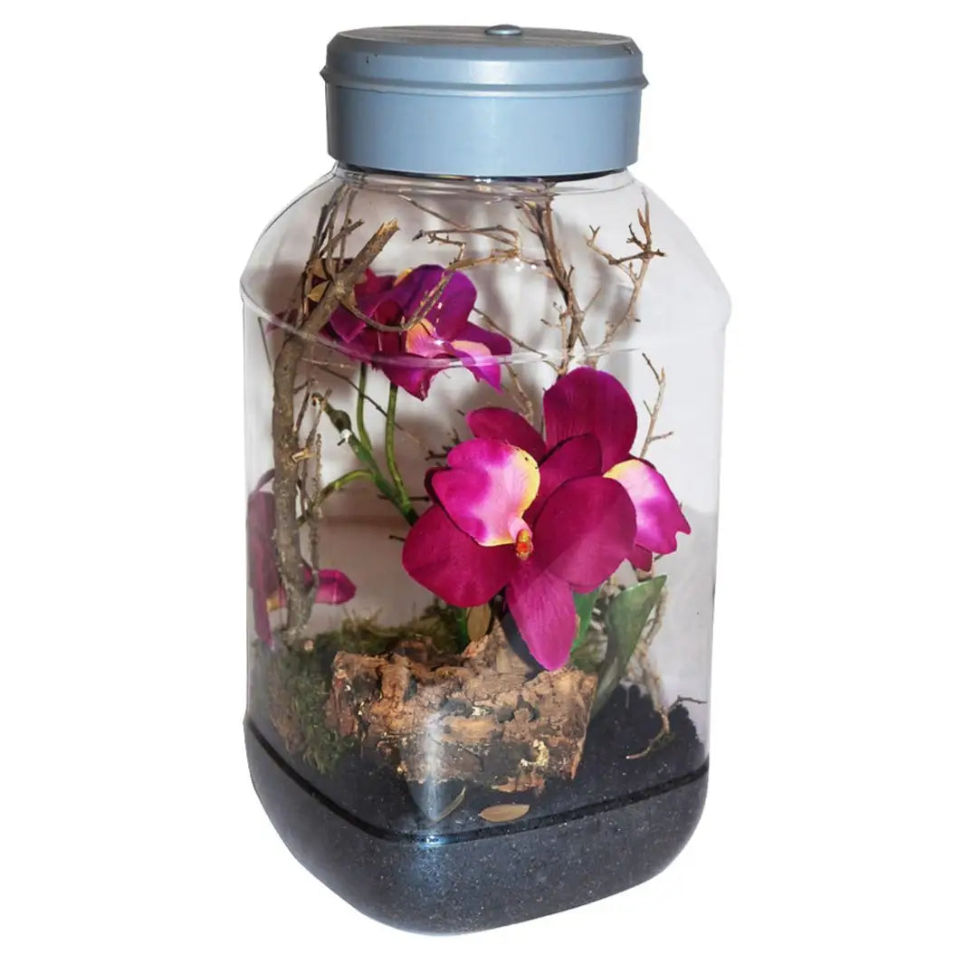 Buy Lucky Reptile Insect-Tarrium 5 Litre online