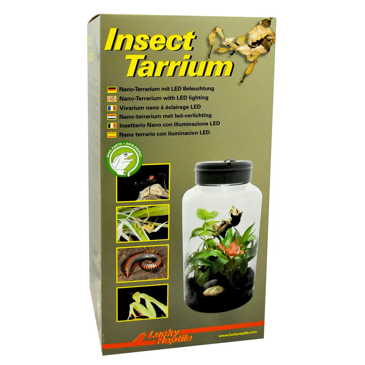 Buy Lucky Reptile Insect-Tarrium 5 Litre online