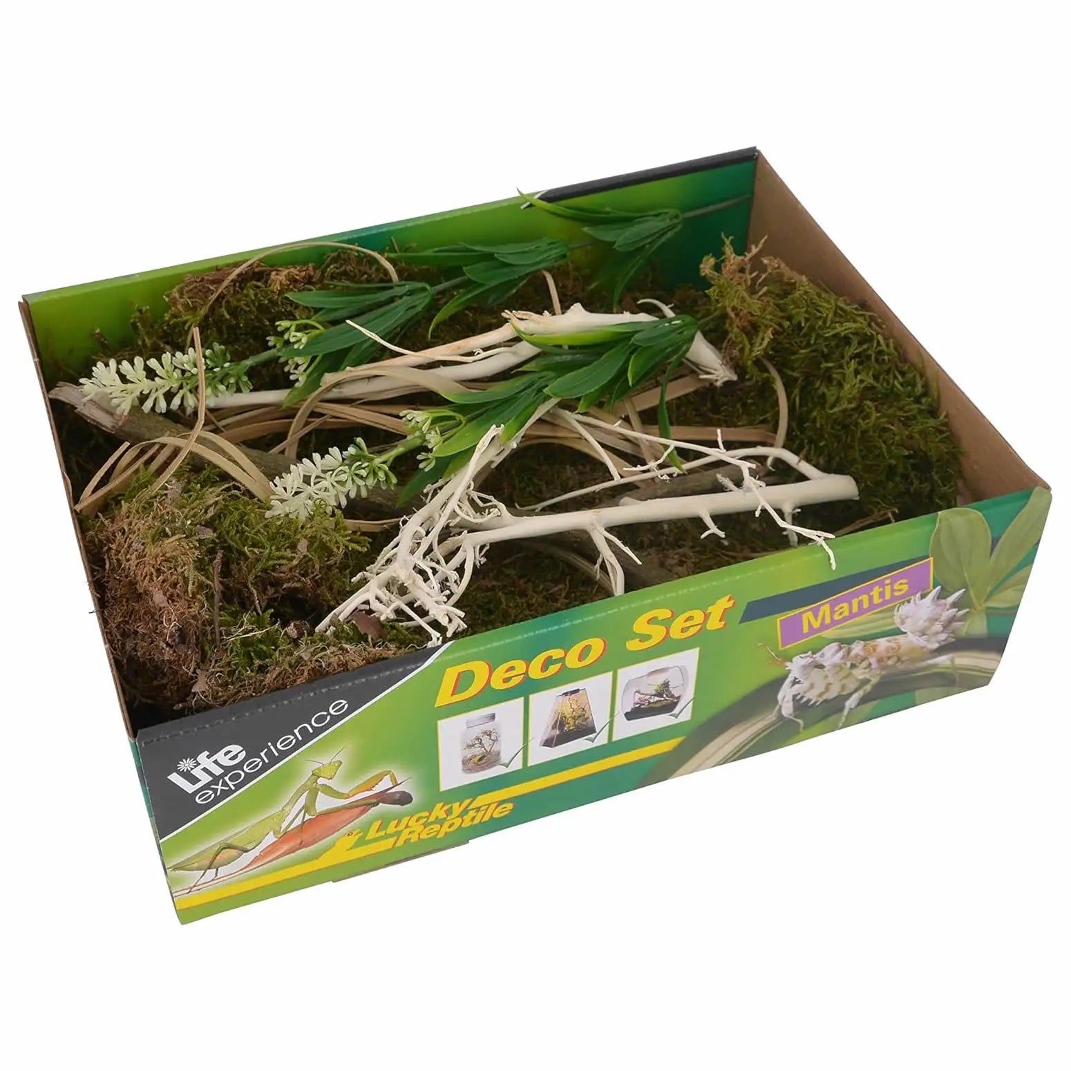 Buy Lucky Reptile Life Experience Deco Set Mantis online
