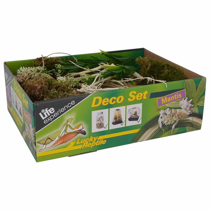 Praying Mantis Decor