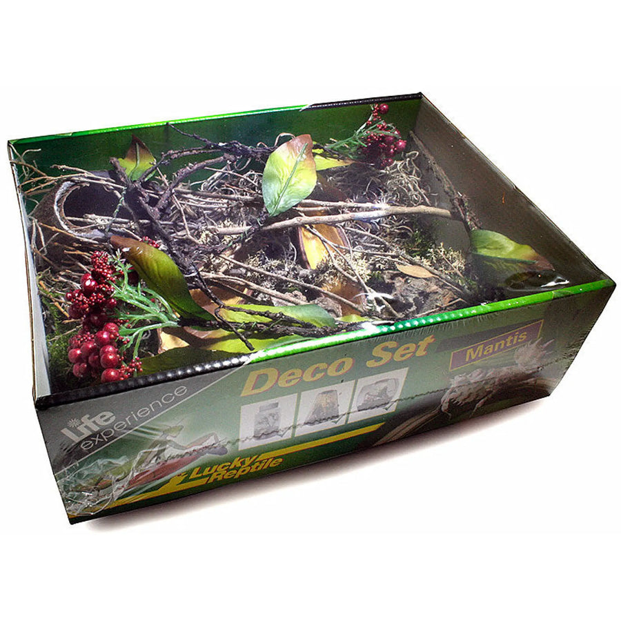 Buy Lucky Reptile Life Experience Deco Set Mantis (DLN060) Online at £12.69 from Reptile Centre