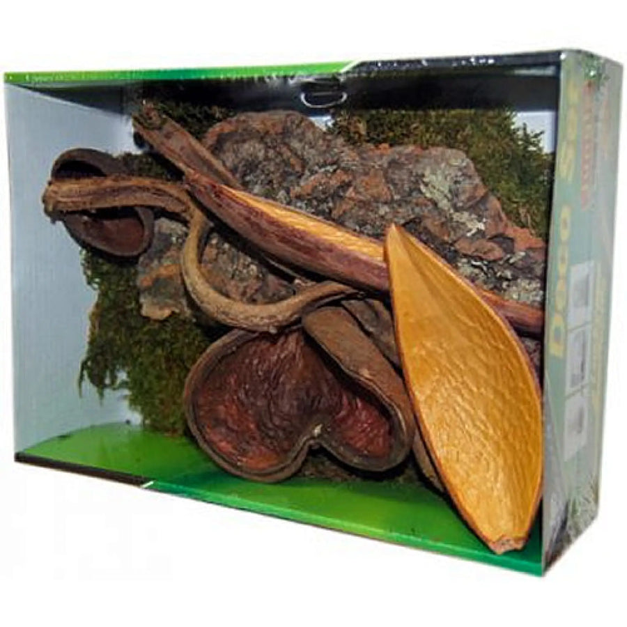 Buy Lucky Reptile Life Experience Decor Jungle (DLN055) Online at £12.69 from Reptile Centre