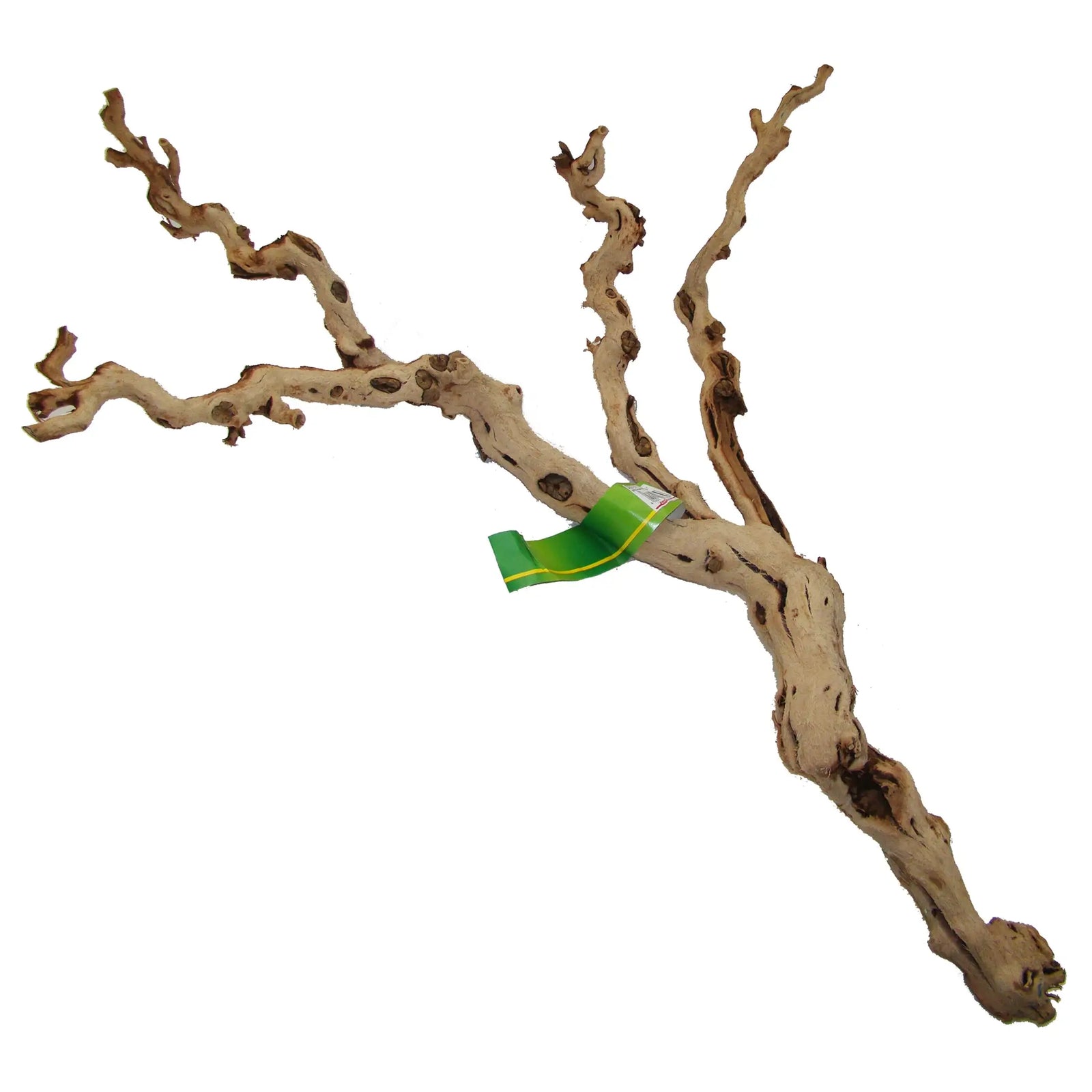 Buy Lucky Reptile Premium Grapevine online