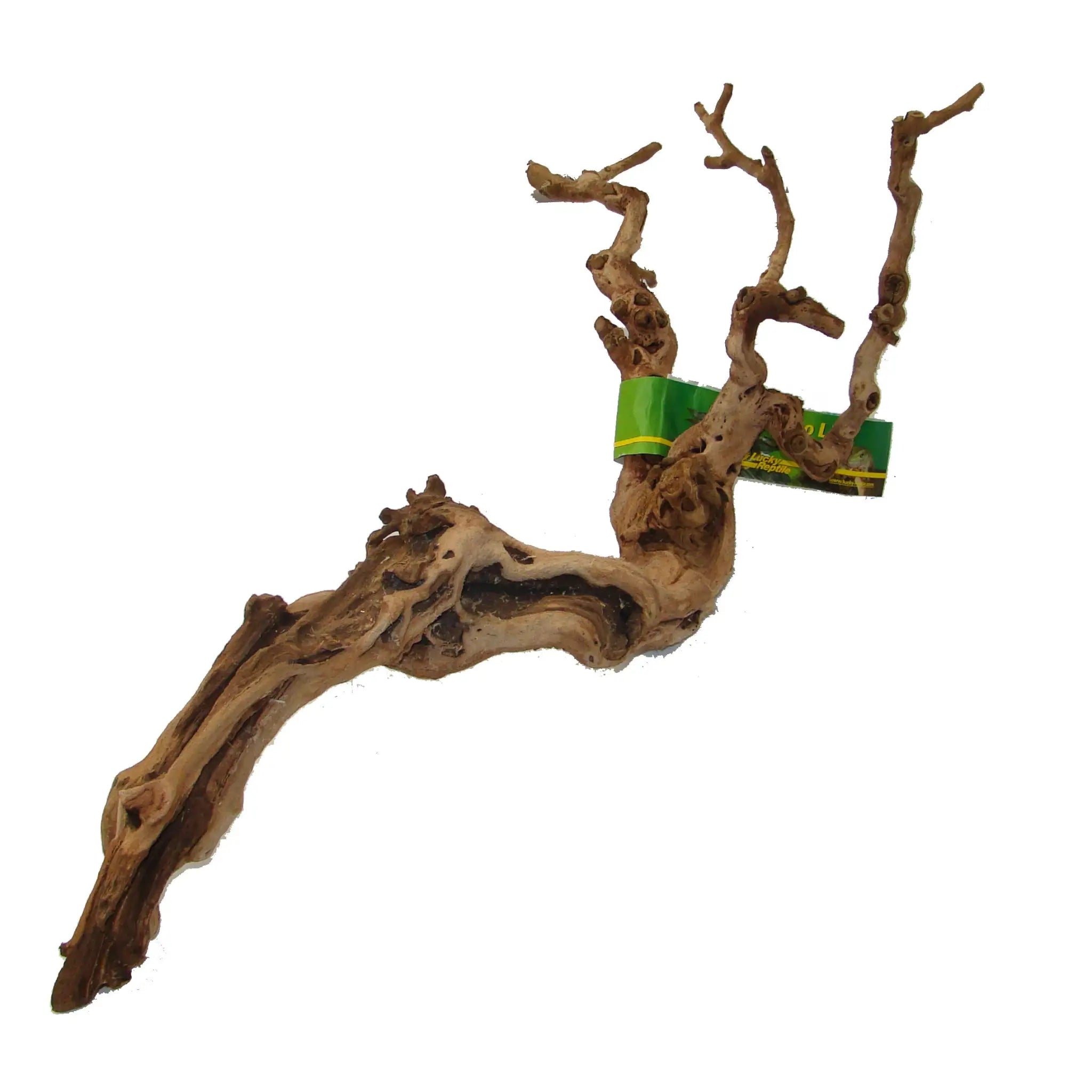 Lucky Reptile Premium Grapevine