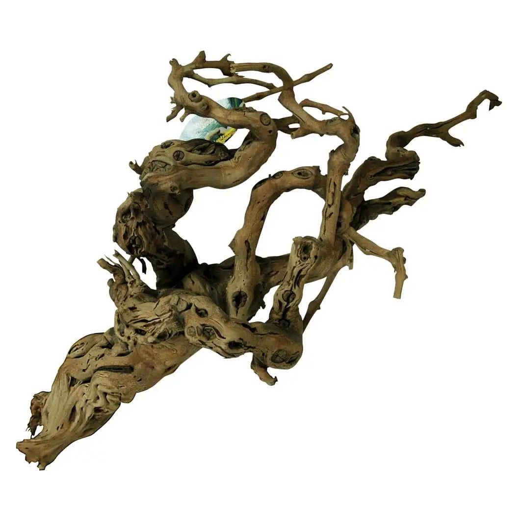 Lucky Reptile Premium Grapevine | Reptile Centre – Northampton
