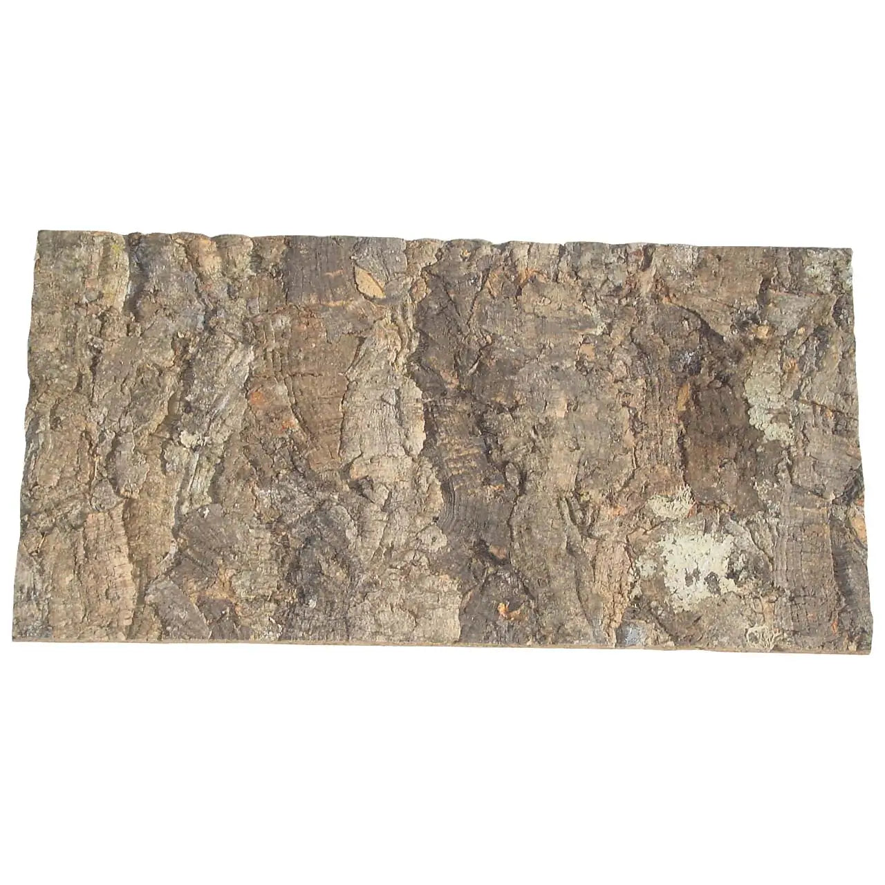 Buy Lucky Reptile Rough Cork Background online