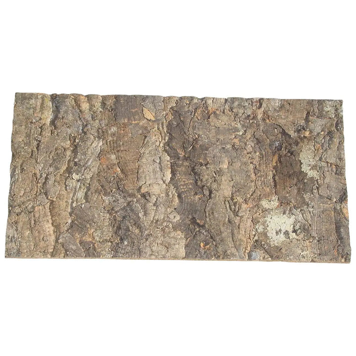 Buy Lucky Reptile Rough Cork Background online
