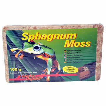 Lucky Reptile Spaghnum Moss brick 100g
