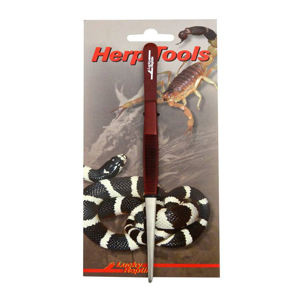 Lucky Reptile Straight Tweezers 20Cm Miscellaneous