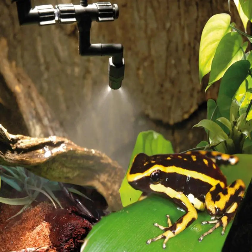 Buy Lucky Reptile SuperRain II - Mist System online