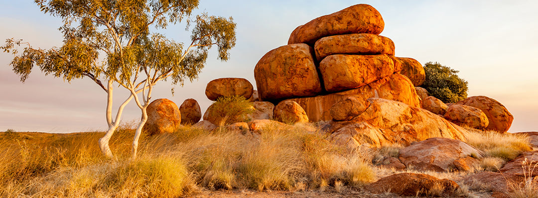 Northern Territory Australian Outback