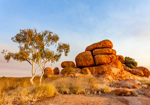 Northern Territory Australian Outback