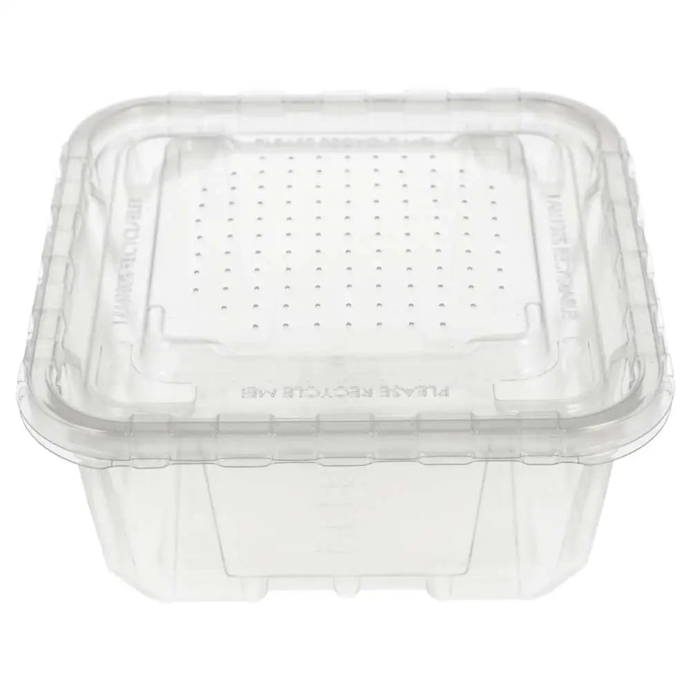 Peregrine Livefoods Vented Tub - 17.6x17.6cm