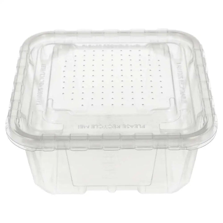 Peregrine Livefoods Vented Tub - 17.6x17.6cm