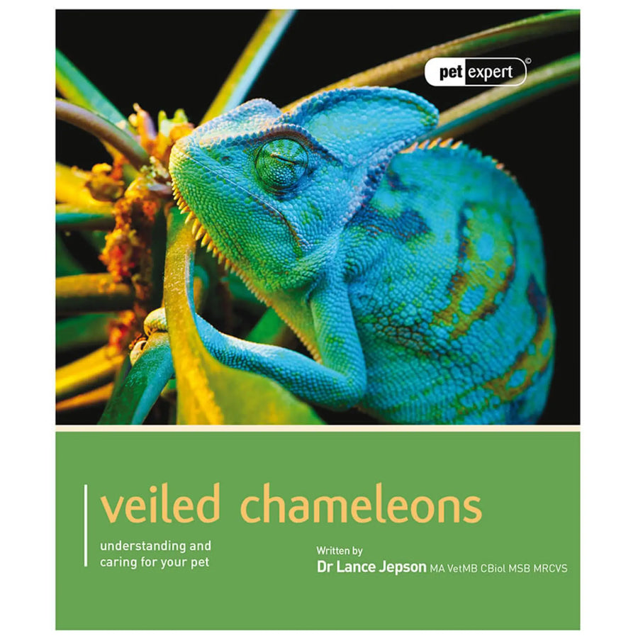 Buy Pet Expert Veiled Chameleons (BMM035) Online at £9.19 from Reptile Centre