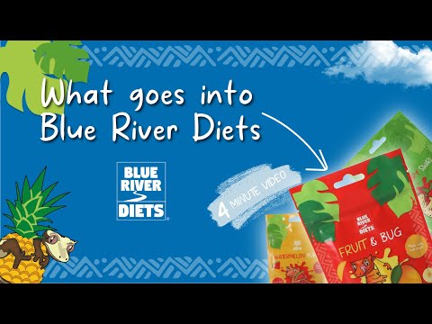 Blue River Fruit &amp; Bug Gecko Diet
