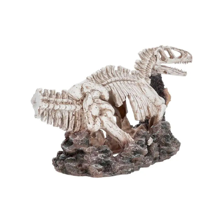 Pro Rep Allosaurus Skeleton Decor