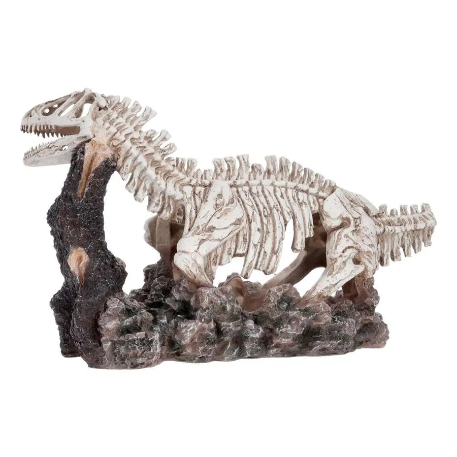 Pro Rep Allosaurus Skeleton Decor