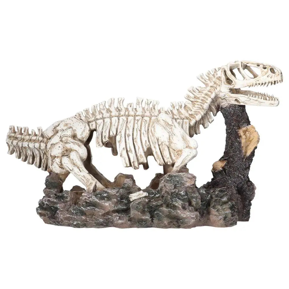 Pro Rep Allosaurus Skeleton Decor