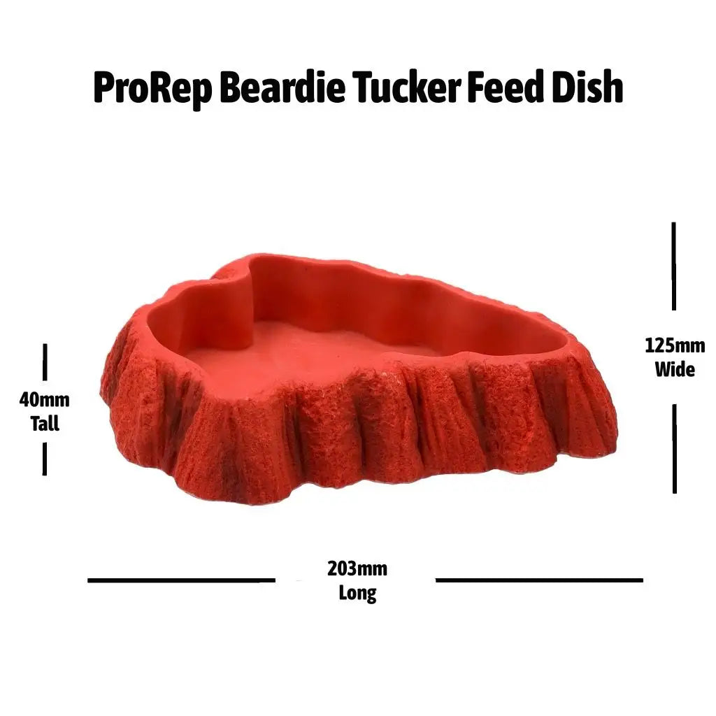 PR Beardie Tucker Feed Dish - measurements 