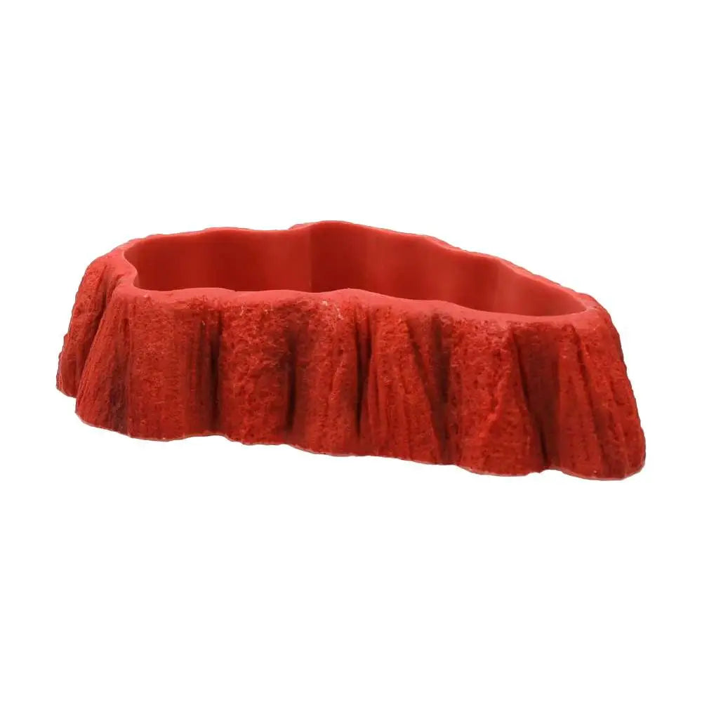 Buy Pro Rep Beardie Tucker Feeding Dish online