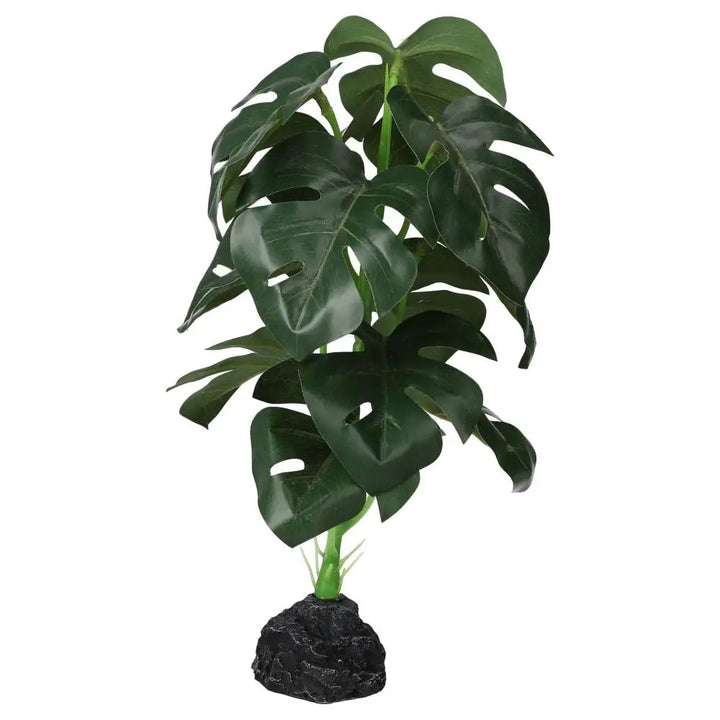 Buy Pro Rep Terrestrial Monstera online