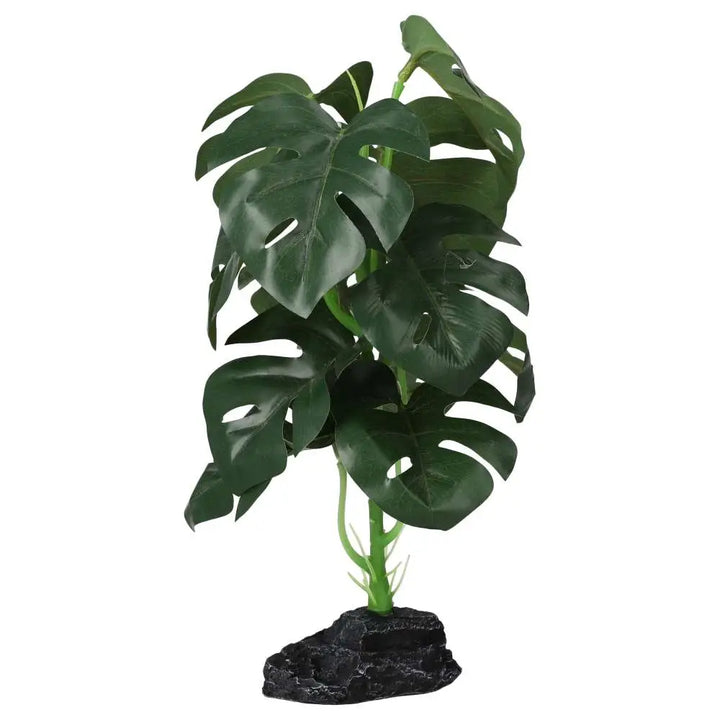 Buy Pro Rep Terrestrial Monstera online