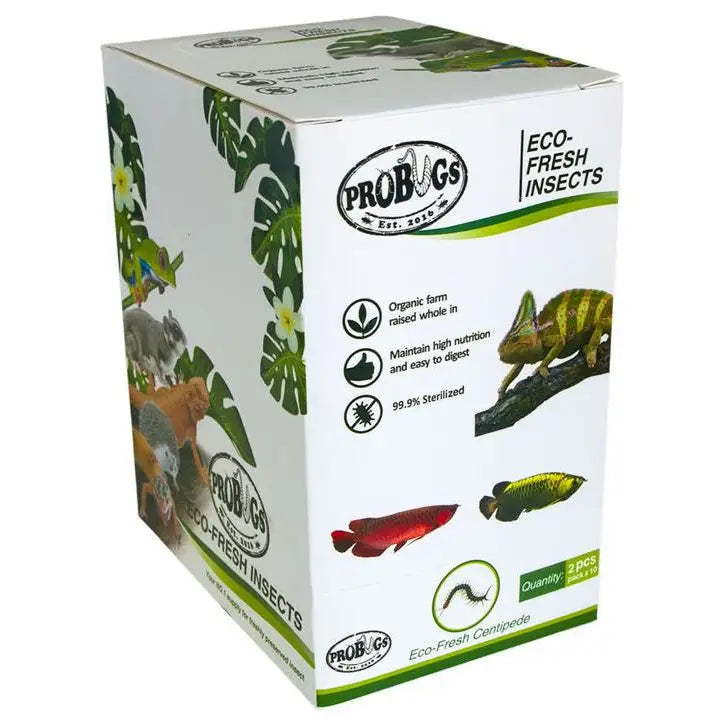 Buy ProBugs Eco Fresh Centipedes 2pcs online